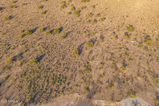 a close up of a plant