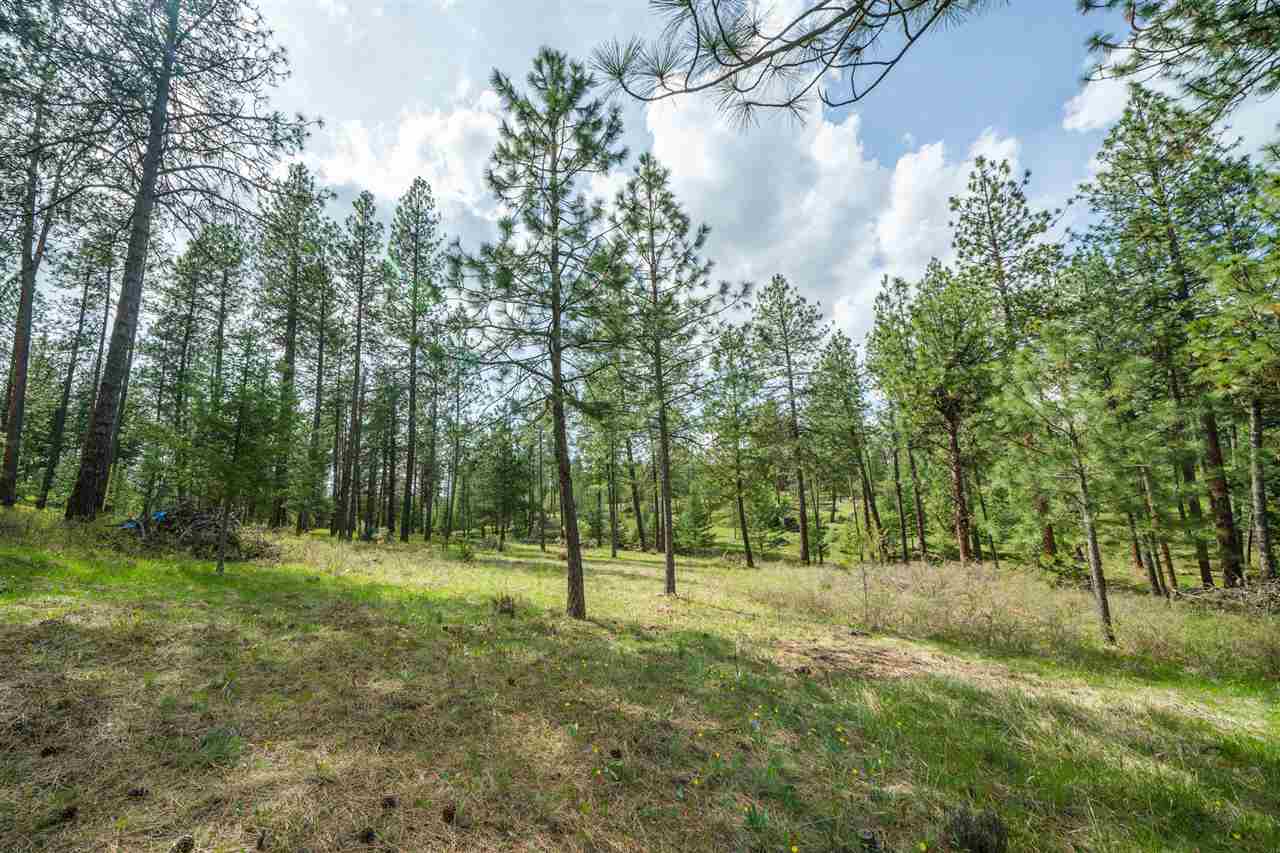 15115 North Hazard Road Spokane, WA 99208 - Photo 16 of 20