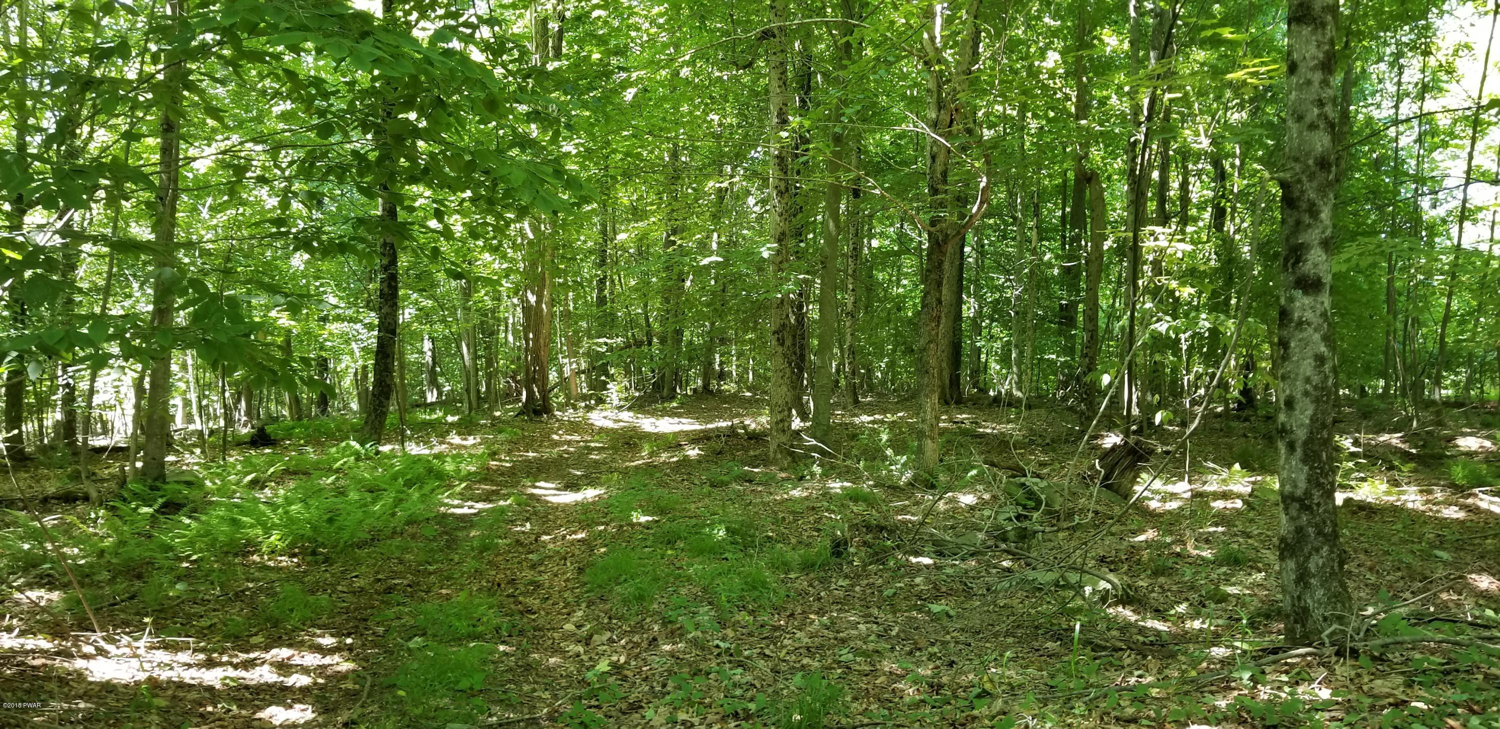 Lot 63 Old Woods Road Equinunk, PA 18417 - Photo 39 of 63