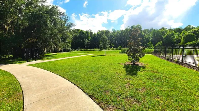 a view of a park with large trees