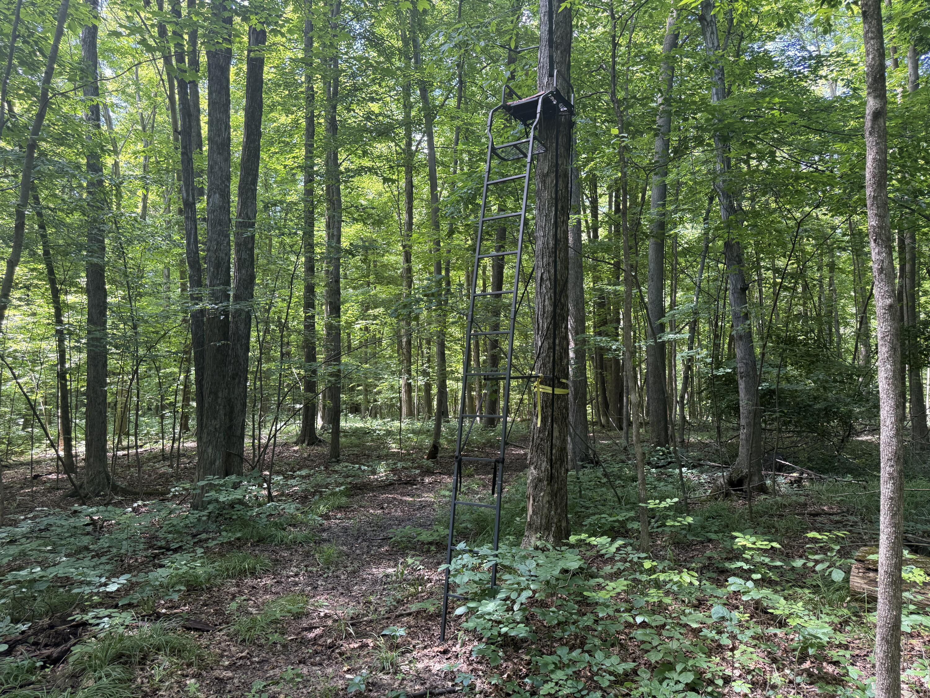 Vl Tamarack Road Pittsford, MI 49271 - Photo 20 of 24 H11