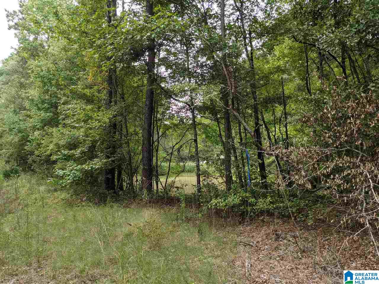 0 Smith Avenue, Unit 3 2 Anniston, AL 36207 - Photo 12 of 43