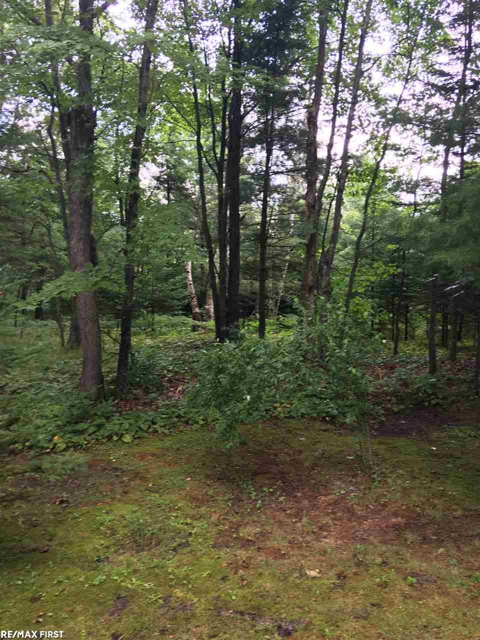3916 South Poor Farm Road Greenbush, MI 48738 - Photo 15 of 35 Gallery Image 15
