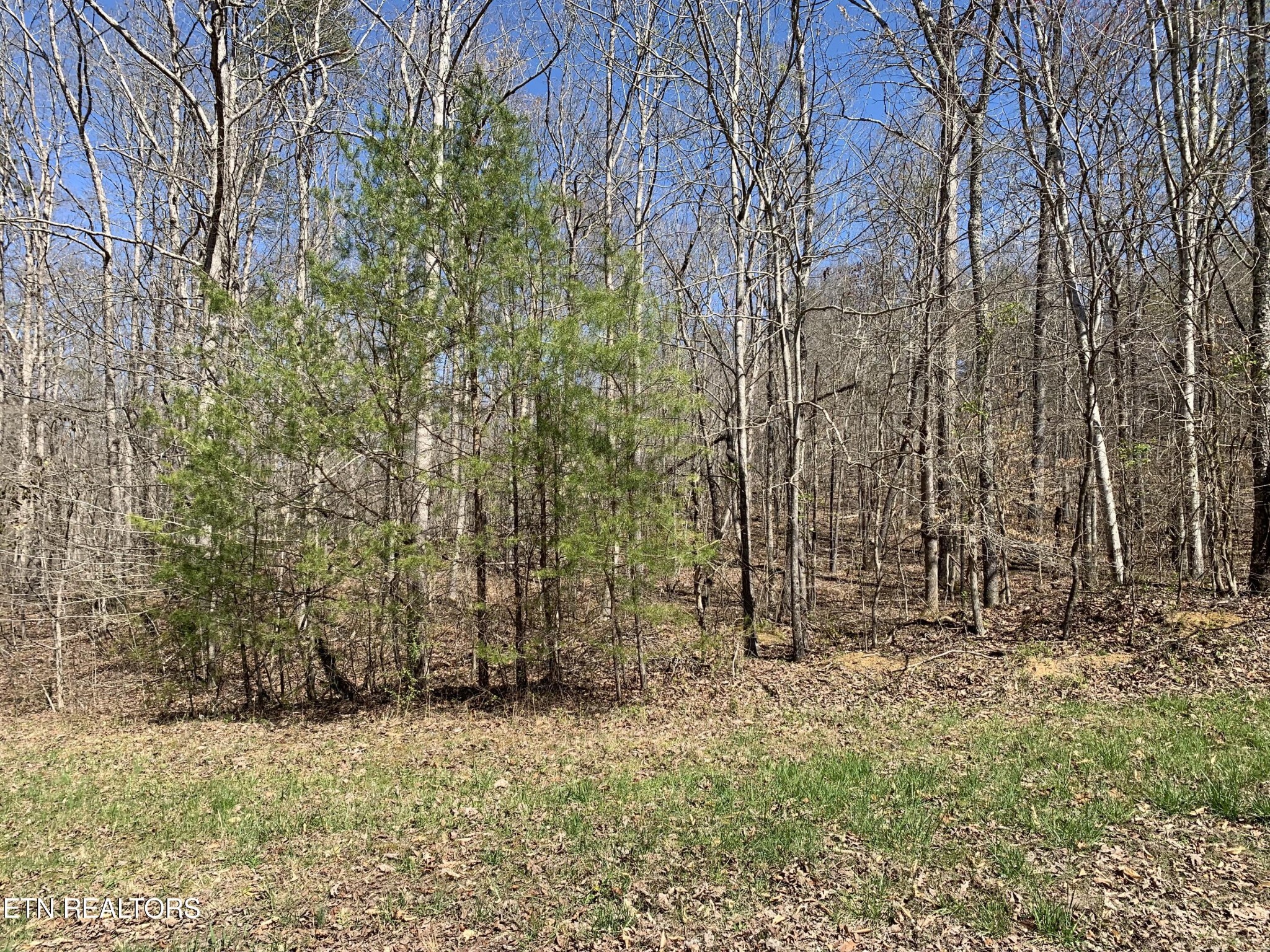 0 Old Ridge Road Kingston, TN 37763 - Photo 9 of 9 Gallery Image 9