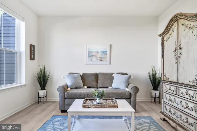 a living room with furniture potted plant and a window
