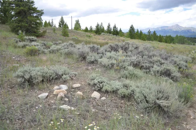 a view of a terrace with a garden