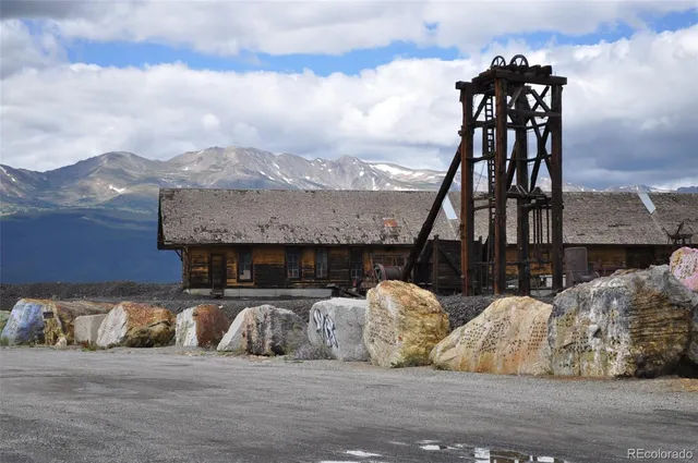 a view of a forest with trees in the background