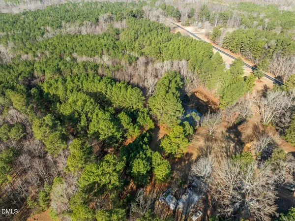 a view of a garden with a tree