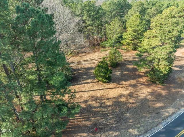 a view of a yard with plants and large trees