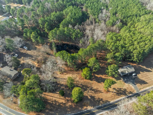 a view of a garden with plants