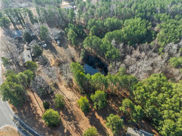 a plant that is in a garden