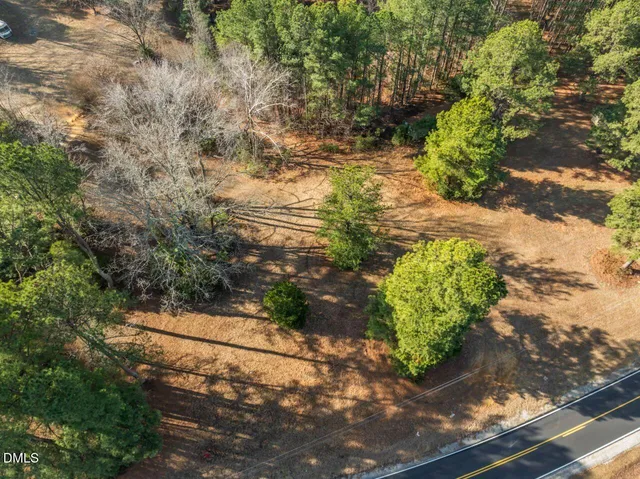 a view of a yard with plants