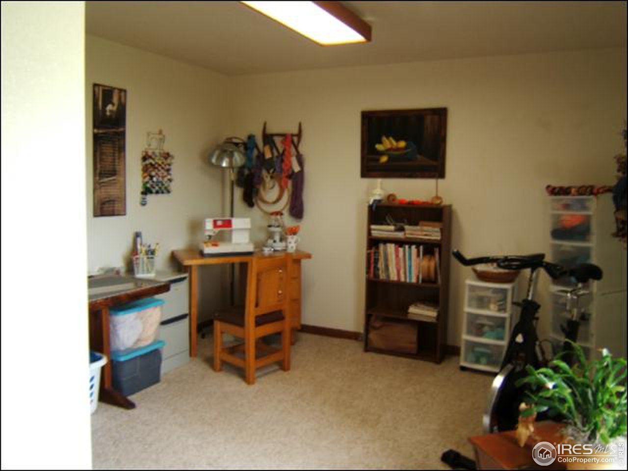 5485 Hidden Springs Road Fort Collins, CO 80526 - Photo 9 of 10 Gallery Image 9