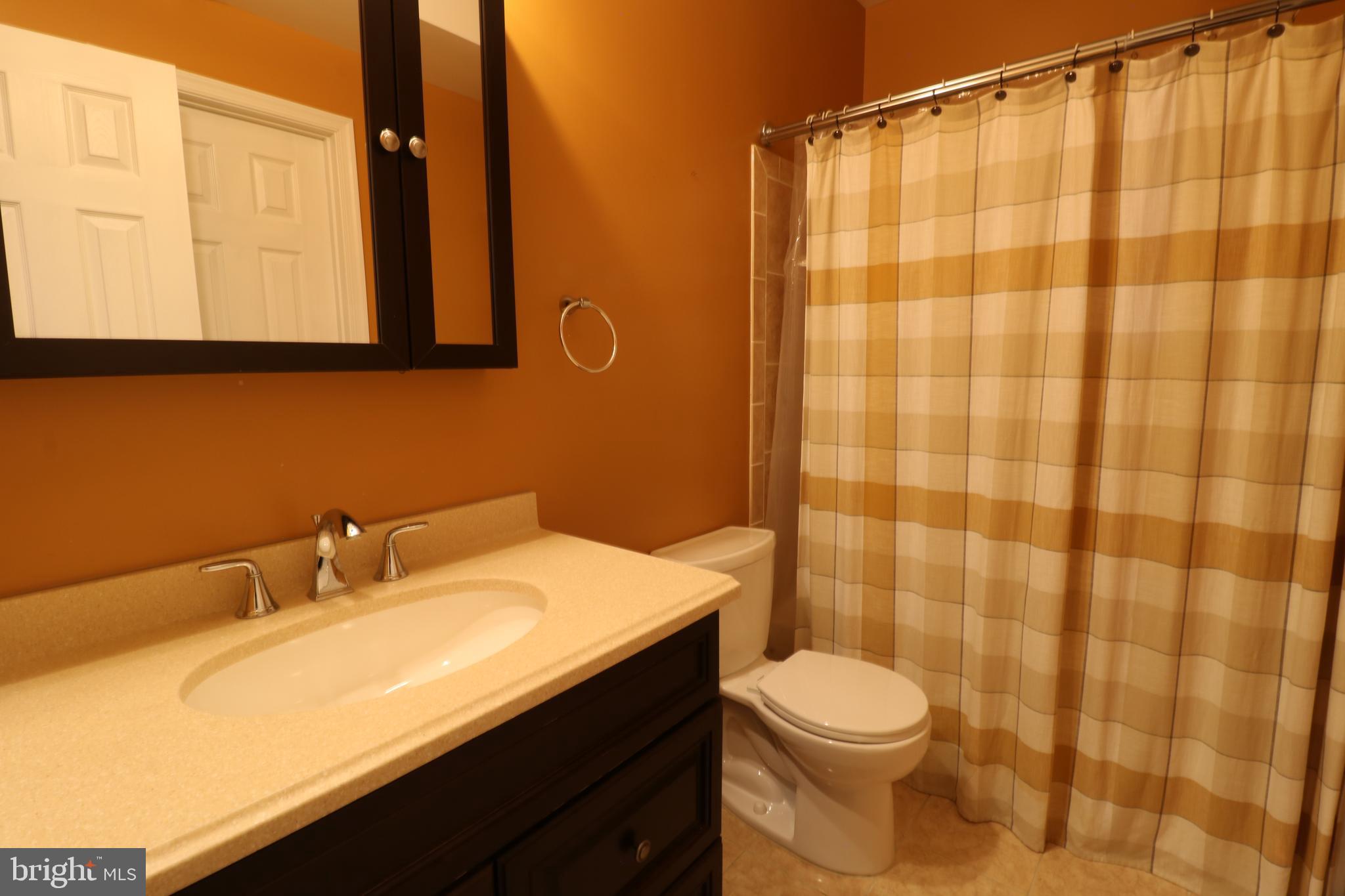 25497 Carrington Drive Chantilly, VA 20152 - Photo 37 of 41 a bathroom with a sink a toilet and shower curtain