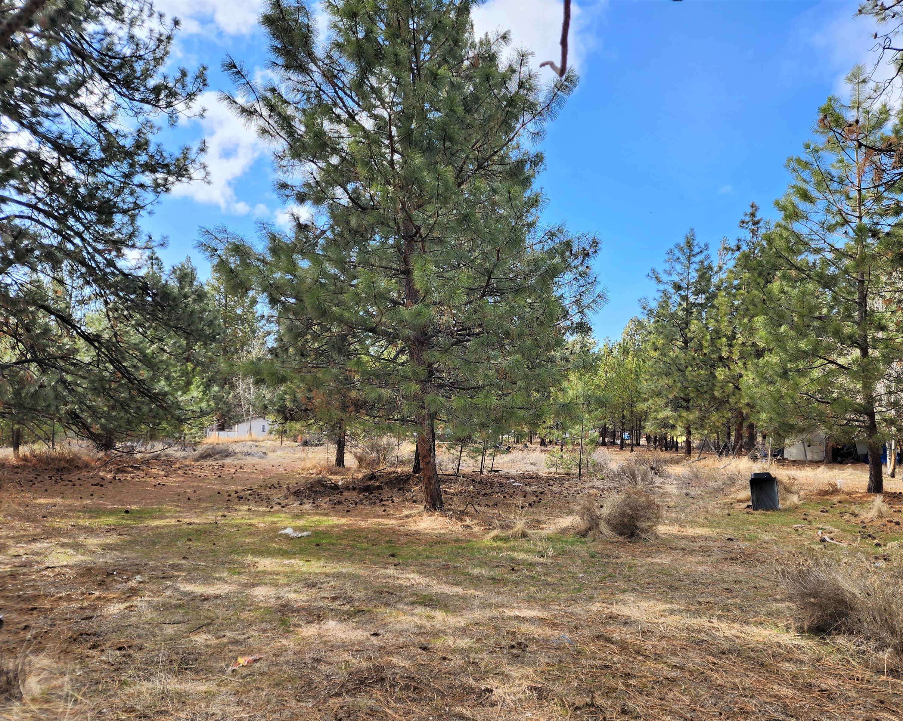 60019 Cheyenne Road Bend, OR 97702 - Photo 6 of 10 a view of yard with trees