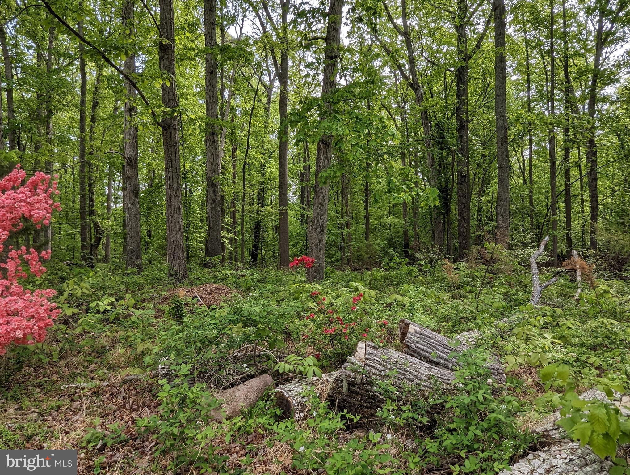 4057 Goldmine Road Goldvein, VA 22720 - Photo 16 of 17 Gallery Image 16