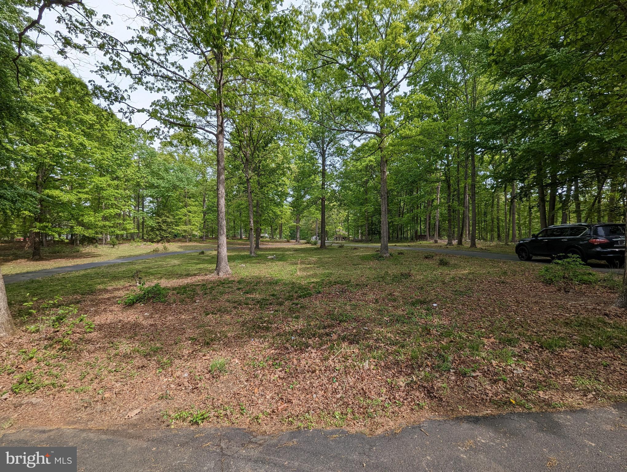 4057 Goldmine Road Goldvein, VA 22720 - Photo 17 of 17 View from house toward Goldmine Rd