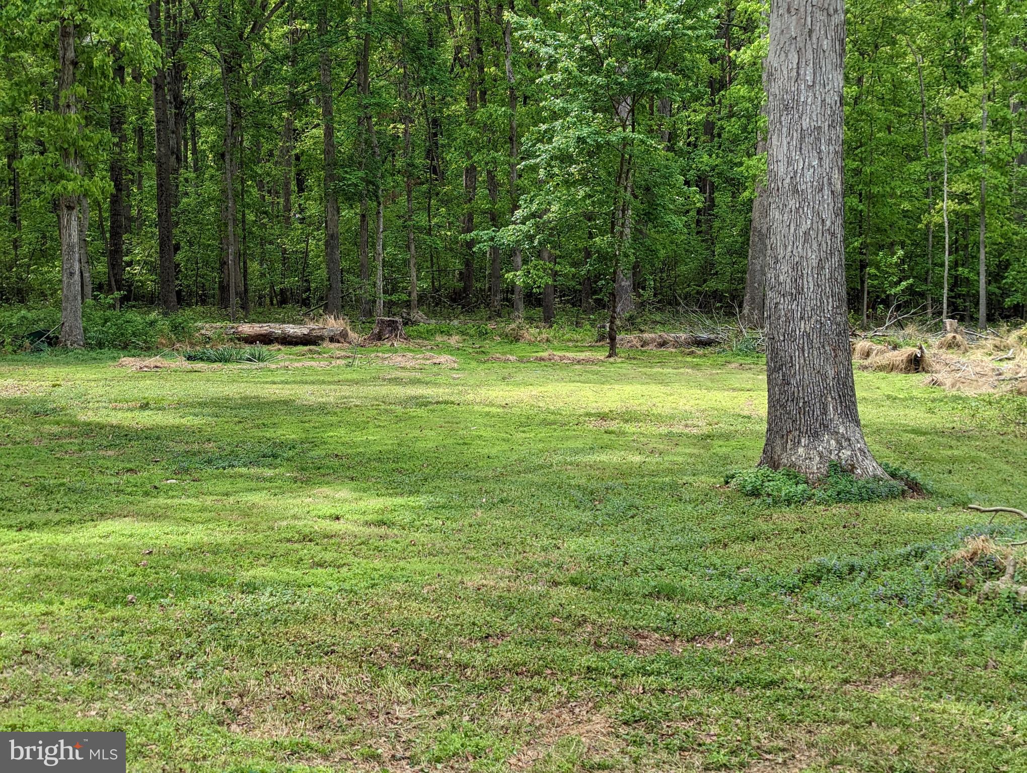 4057 Goldmine Road Goldvein, VA 22720 - Photo 7 of 17 3.31 acre wooded setting