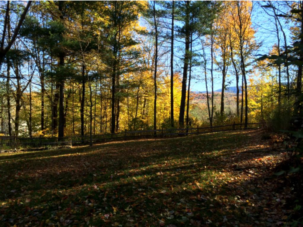 679 Hidden Valley Road Shaftsbury, VT 05262 - Photo 9 of 36 Gallery Image 9