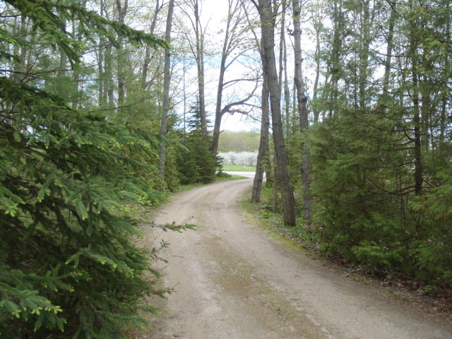 Land Highview Road Ellison Bay, WI 54210 - Photo 1 of 1