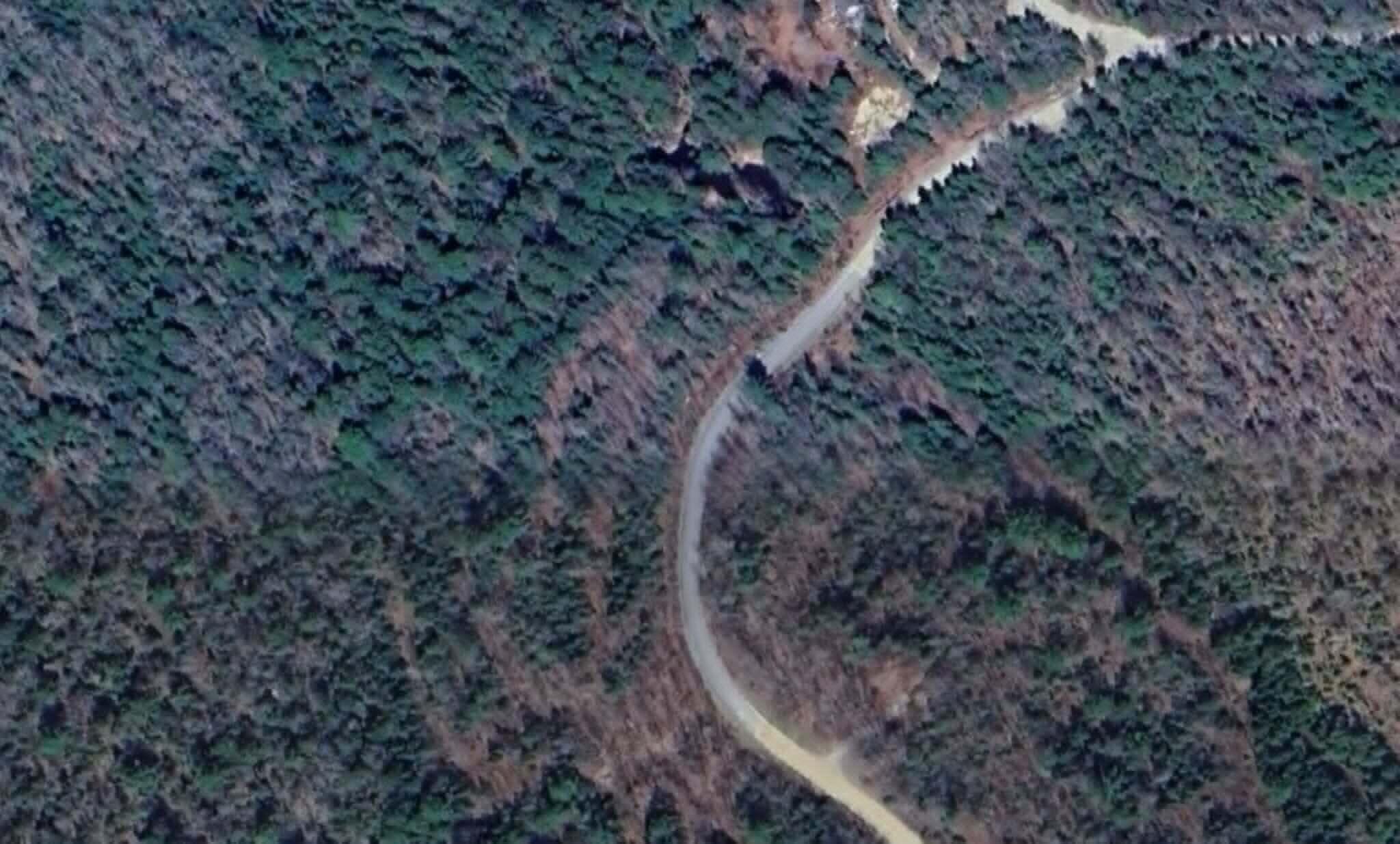 Lot 9 Bailey Mountain Road Franklin, ME 04634 - Photo 13 of 13 Access Road