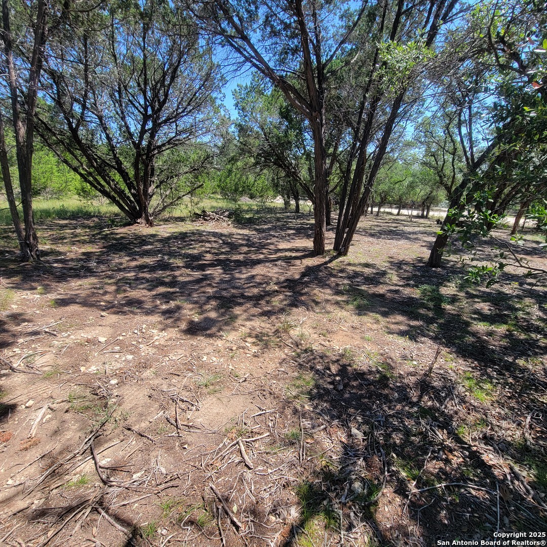 Tbd Timberline Bandera, TX 78003 - Photo 2 of 5 a view of backyard with green space