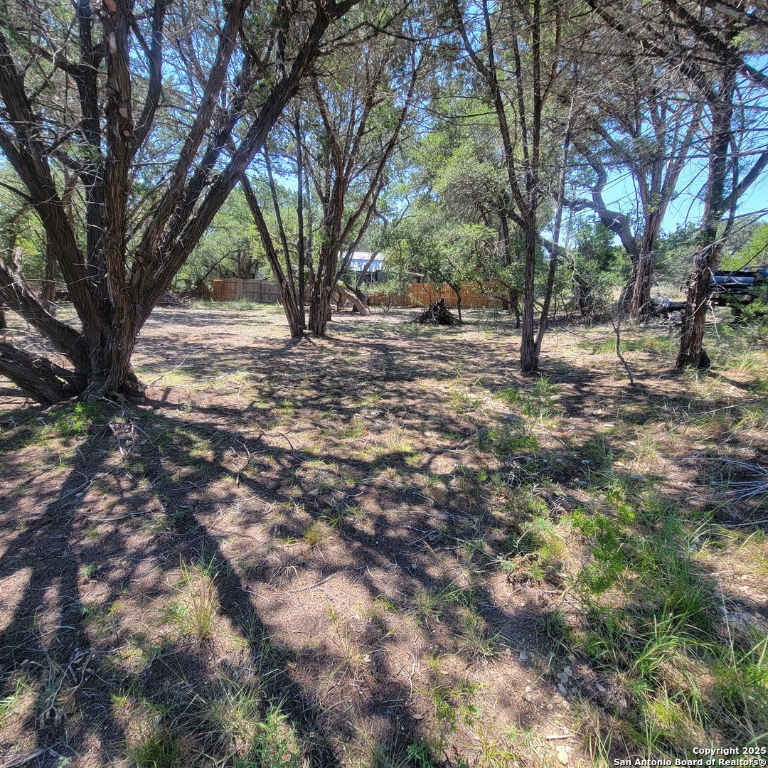 Tbd Timberline Bandera, TX 78003 - Photo 4 of 5 a view of yard with trees