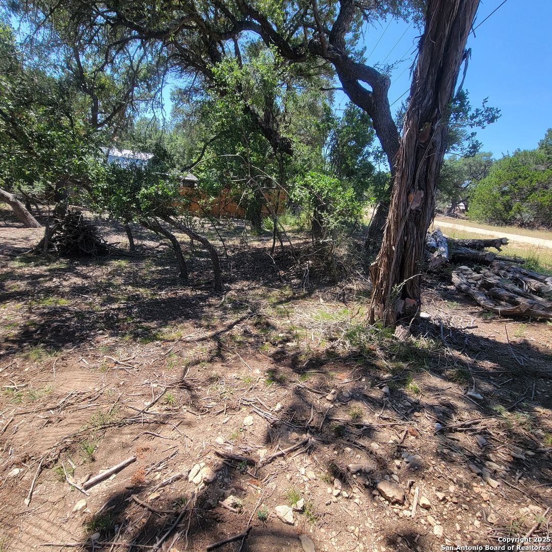 Tbd Timberline Bandera, TX 78003 - Photo 5 of 5 a view of a tree