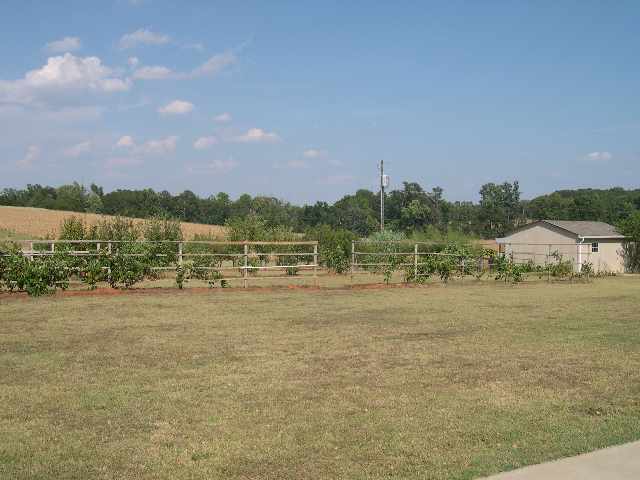2469 Lebanon Road Pendleton, SC 29670 - Photo 3 of 9