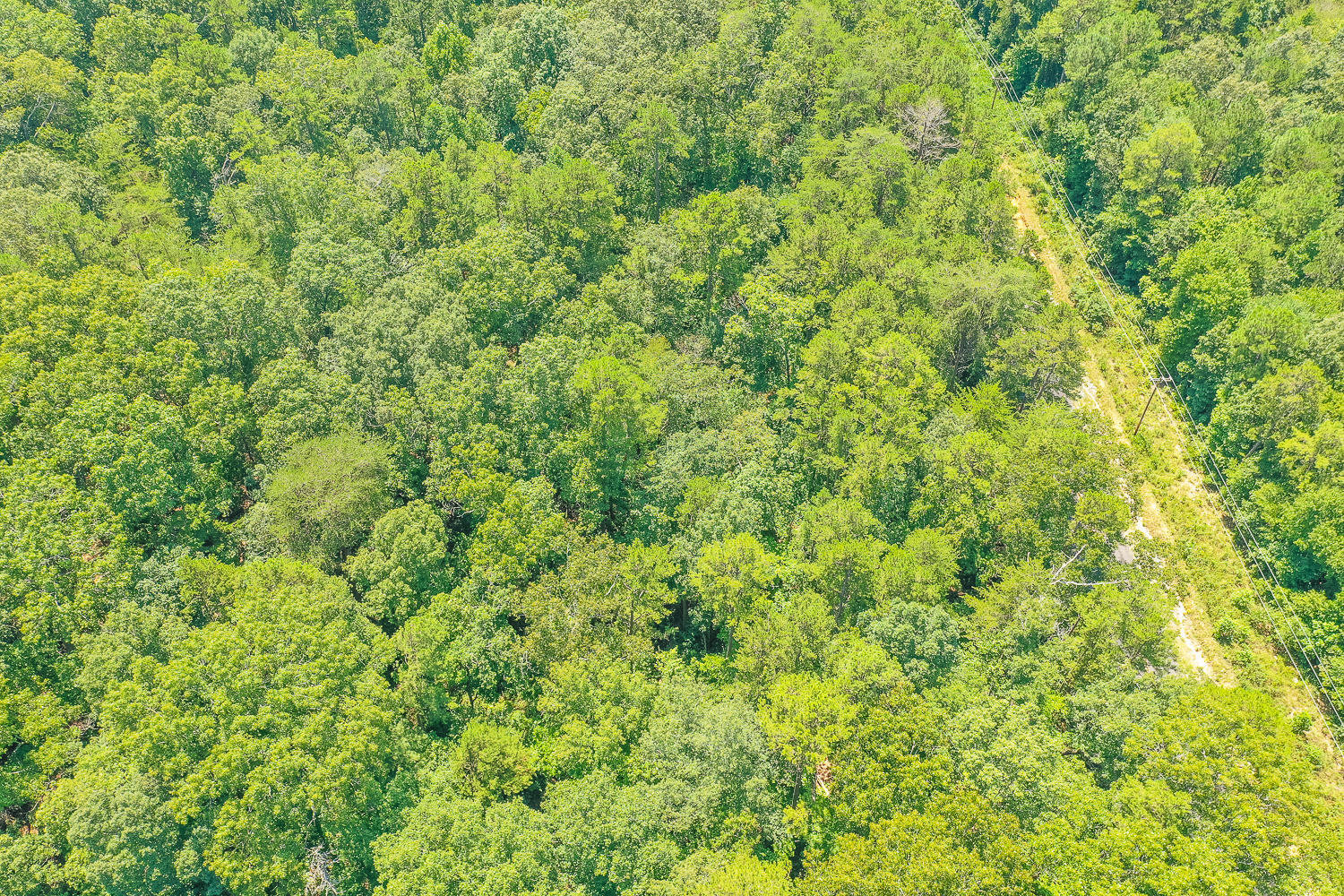 Lot 26 Quarles Road Rocky Face, GA 30740 - Photo 1 of 11 Quarels Old Babb Aerials HD -8