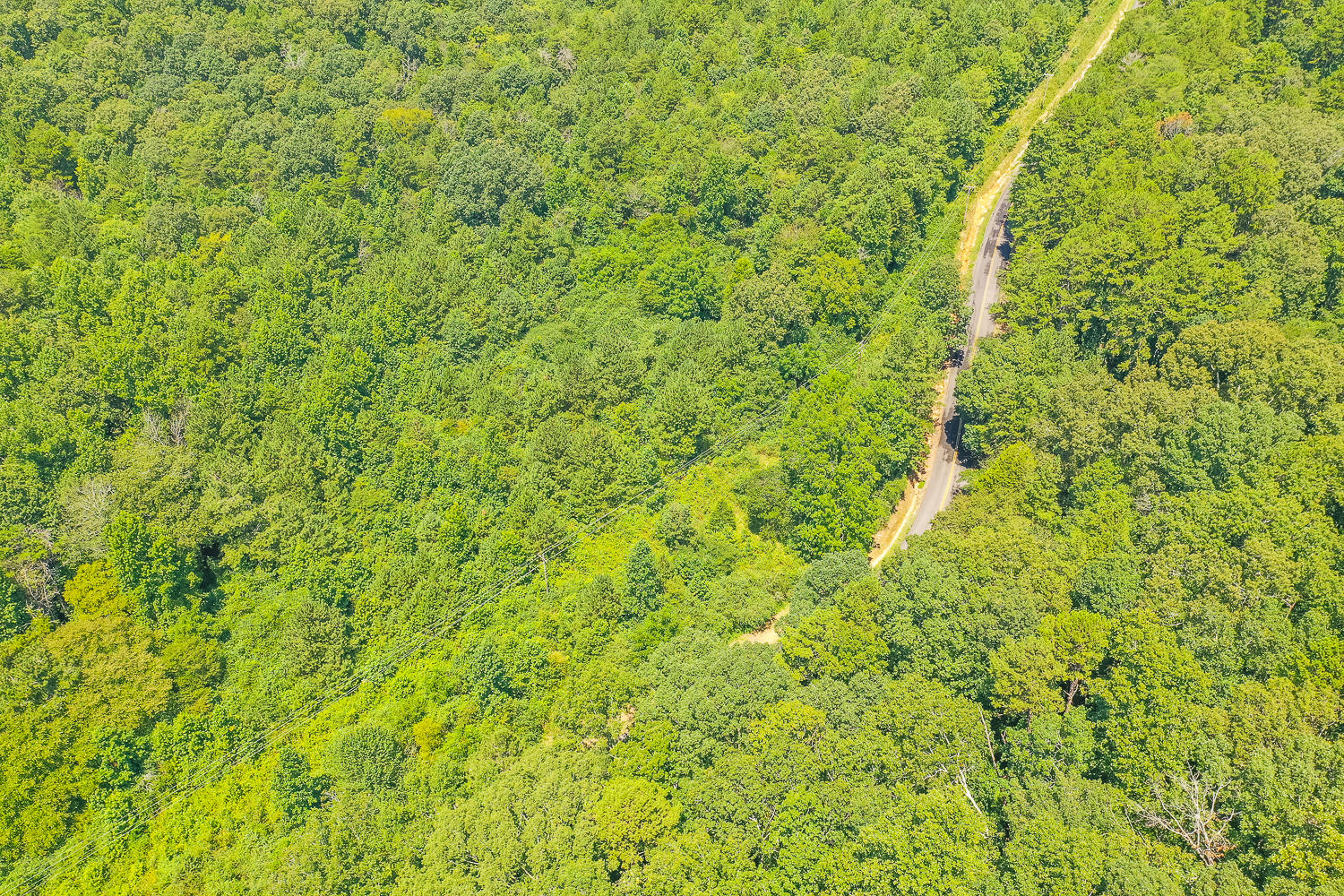 Lot 26 Quarles Road Rocky Face, GA 30740 - Photo 7 of 11 Quarels Old Babb Aerials HD -23