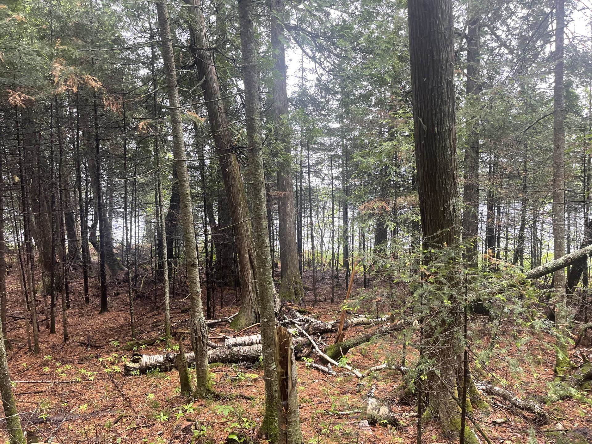 Two Christianson Lake Road Two Harbors, MN 55616 - Photo 19 of 28