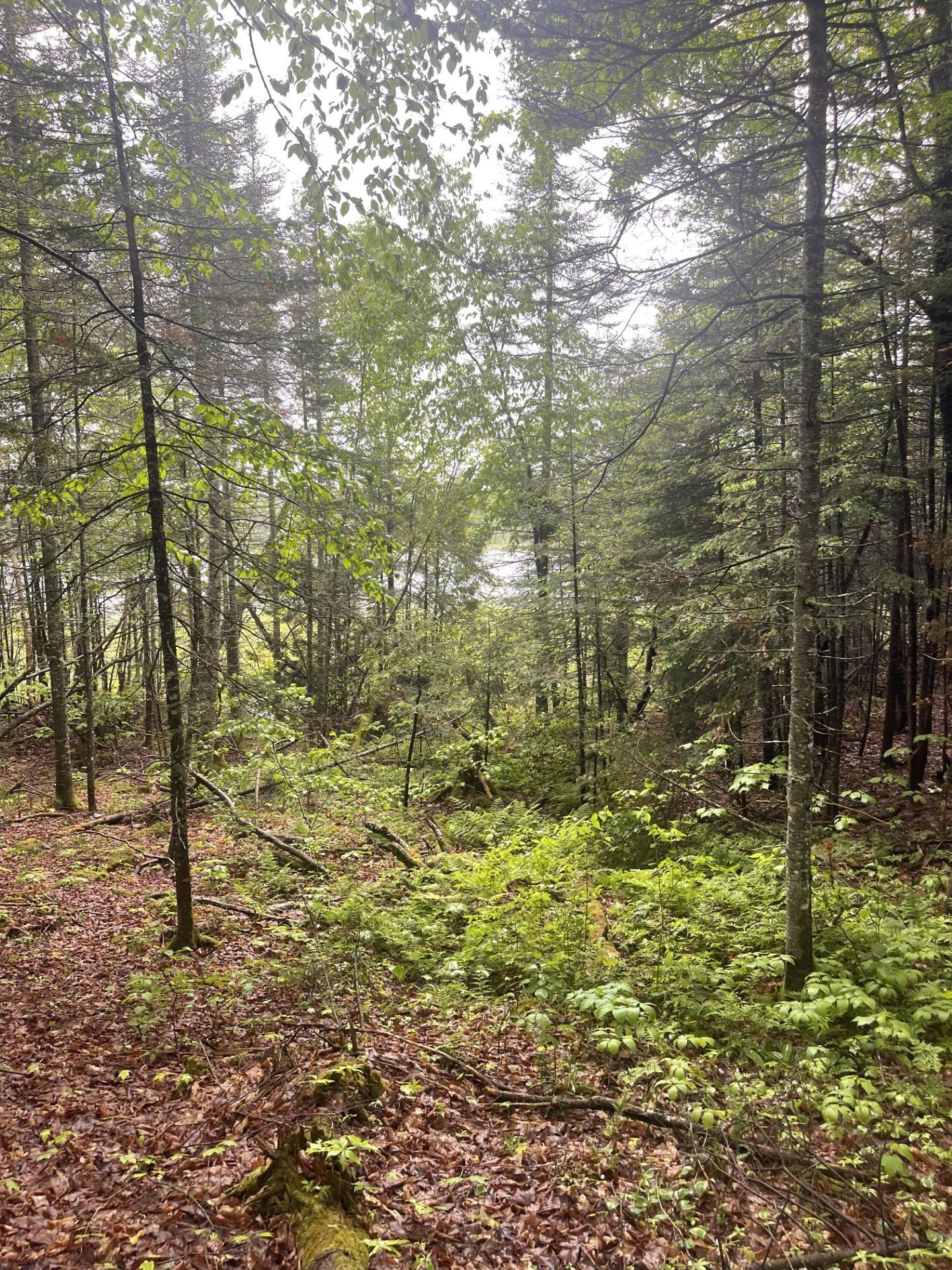 Two Christianson Lake Road Two Harbors, MN 55616 - Photo 25 of 28