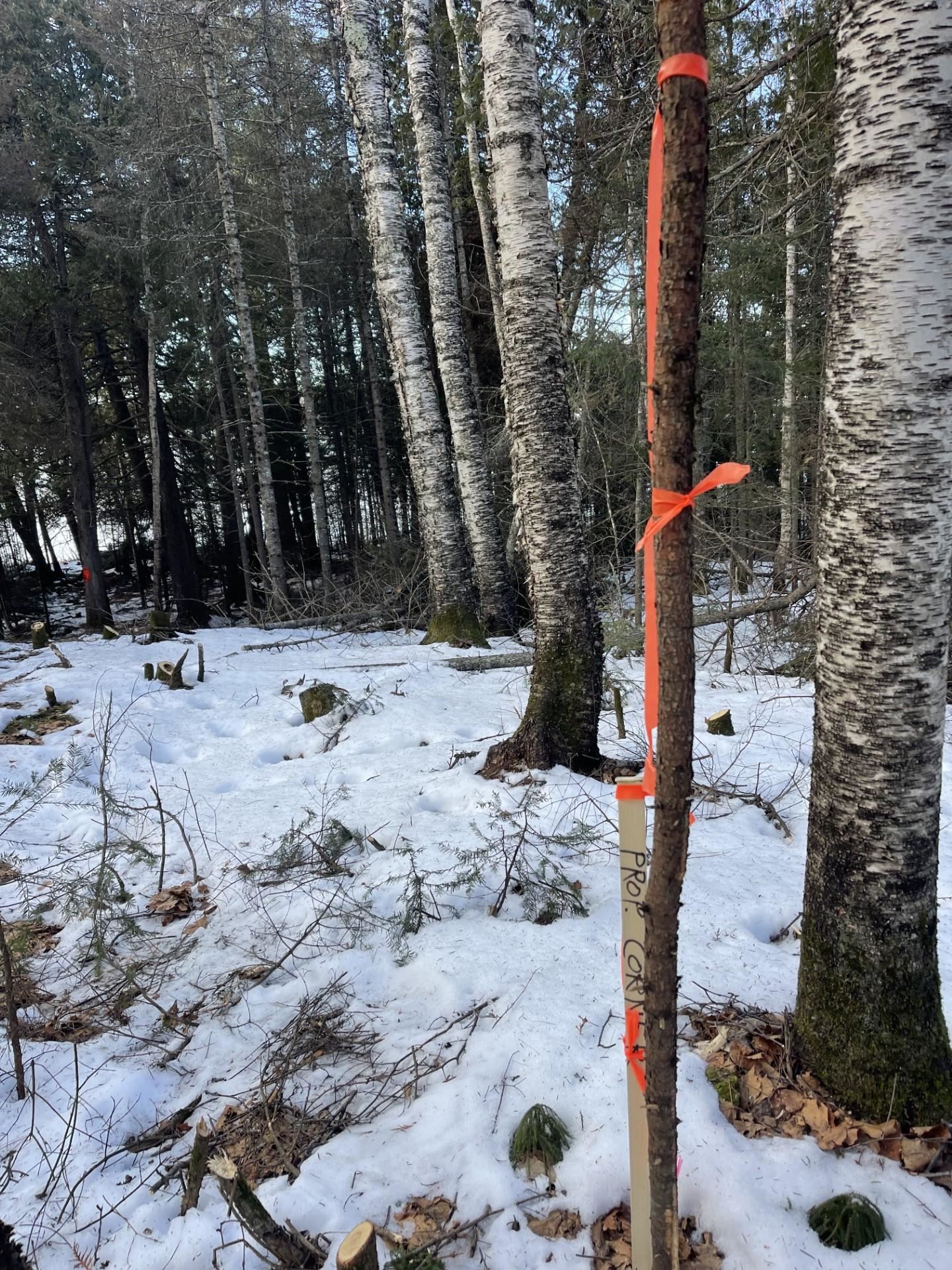 Two Christianson Lake Road Two Harbors, MN 55616 - Photo 5 of 28