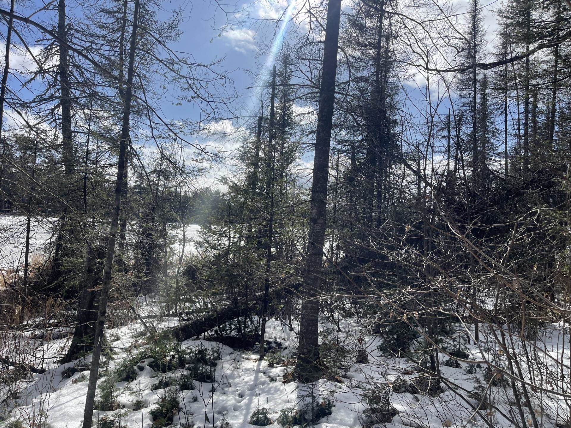 Two Christianson Lake Road Two Harbors, MN 55616 - Photo 6 of 28