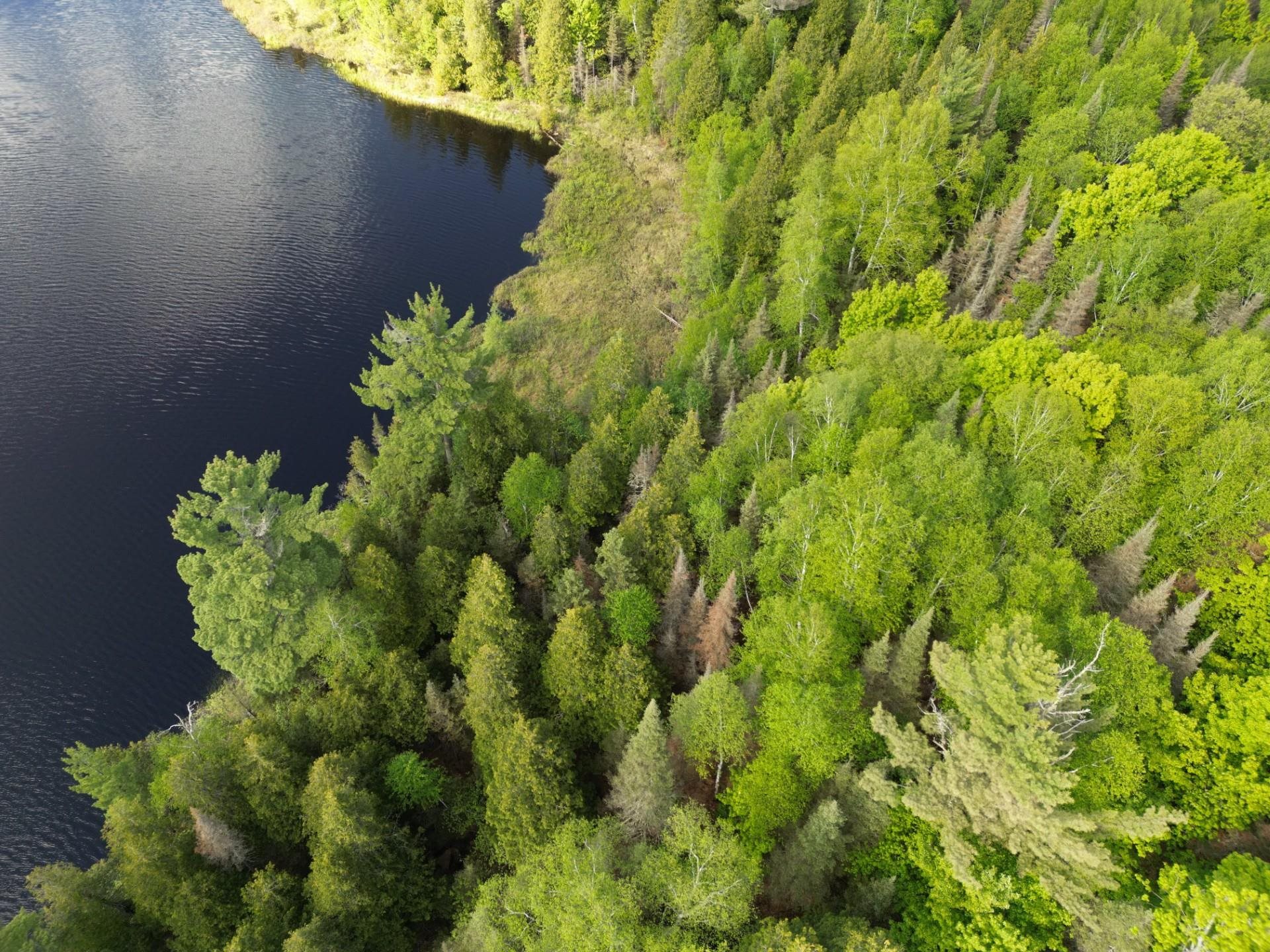 Two Christianson Lake Road Two Harbors, MN 55616 - Photo 7 of 28 Birds eye view of property with a water view