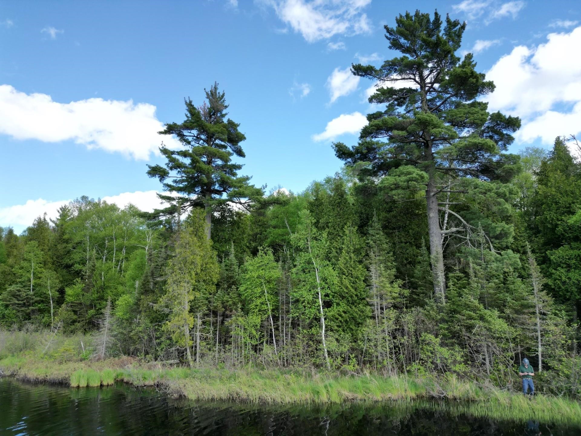 Two Christianson Lake Road Two Harbors, MN 55616 - Photo 10 of 28