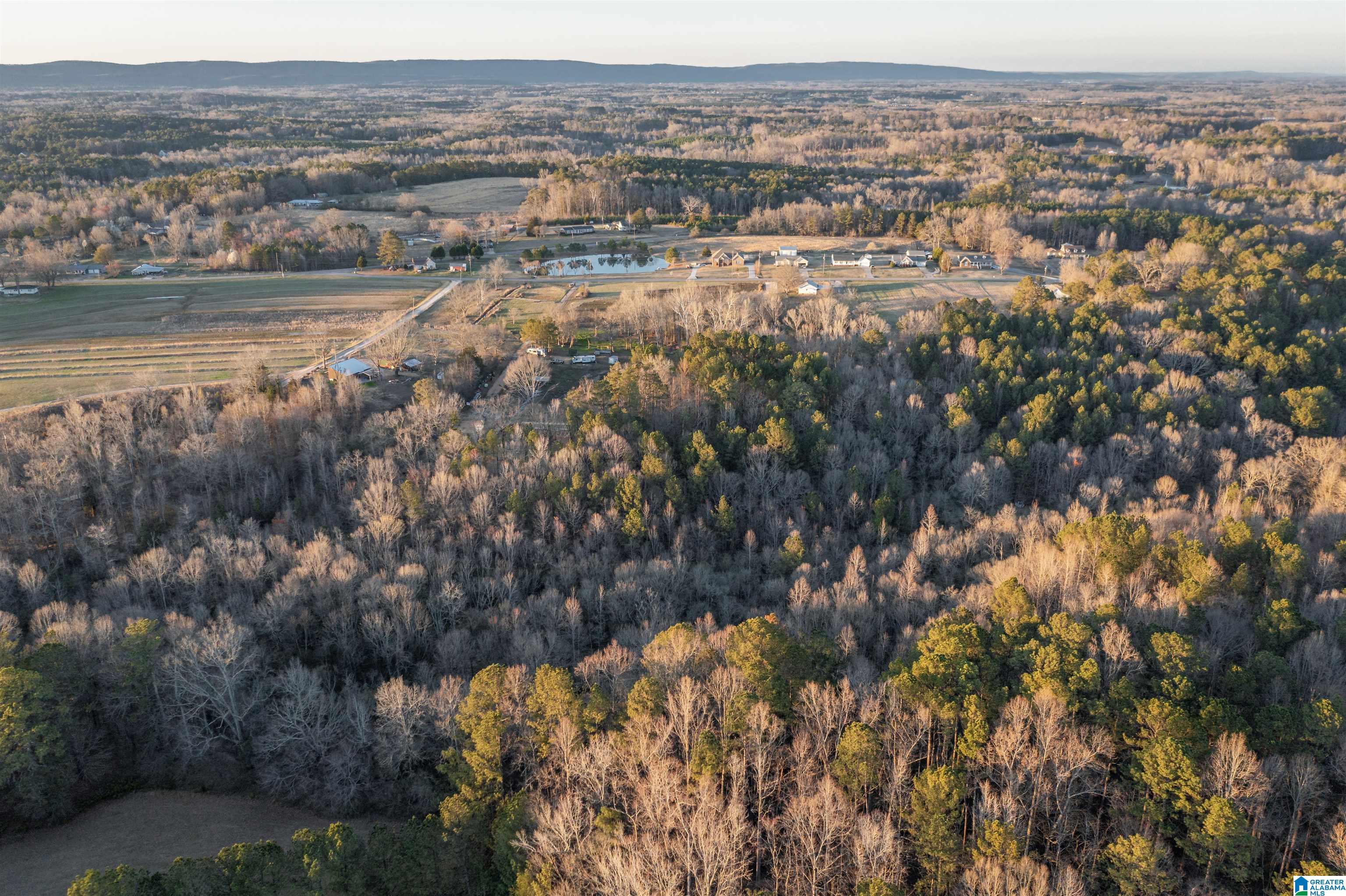 6357 Rocky Ford Road Gadsden, AL 35903 - Photo 9 of 18