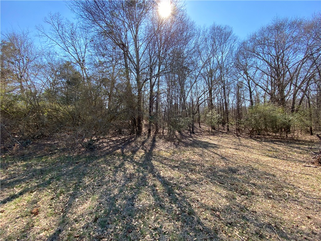 Lot 4 Majestic Shores Road Hartwell, GA 30643 - Photo 2 of 16 Lot 4