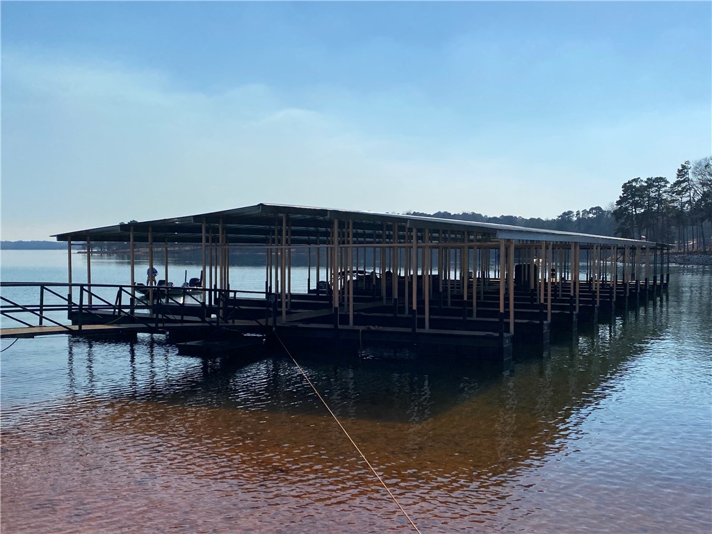 Lot 4 Majestic Shores Road Hartwell, GA 30643 - Photo 3 of 16 Community Dock