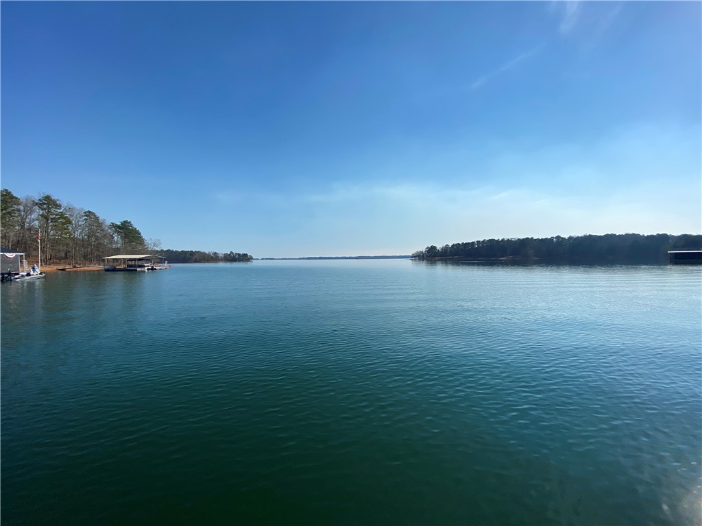Lot 4 Majestic Shores Road Hartwell, GA 30643 - Photo 8 of 16 View from Community Dock