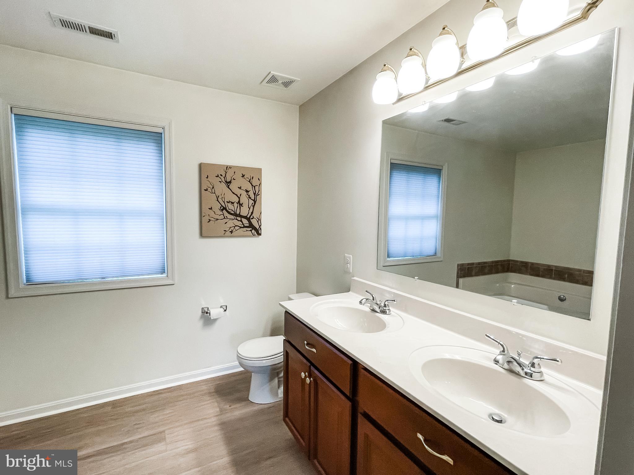 18162 White Tail Way St. Inigoes, MD 20684 - Photo 17 of 29 a bathroom with a double vanity sink mirror and toilet