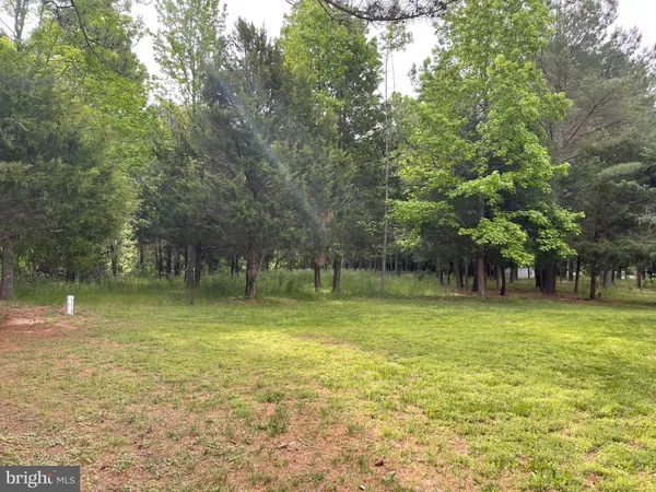 a view of a trees in a park