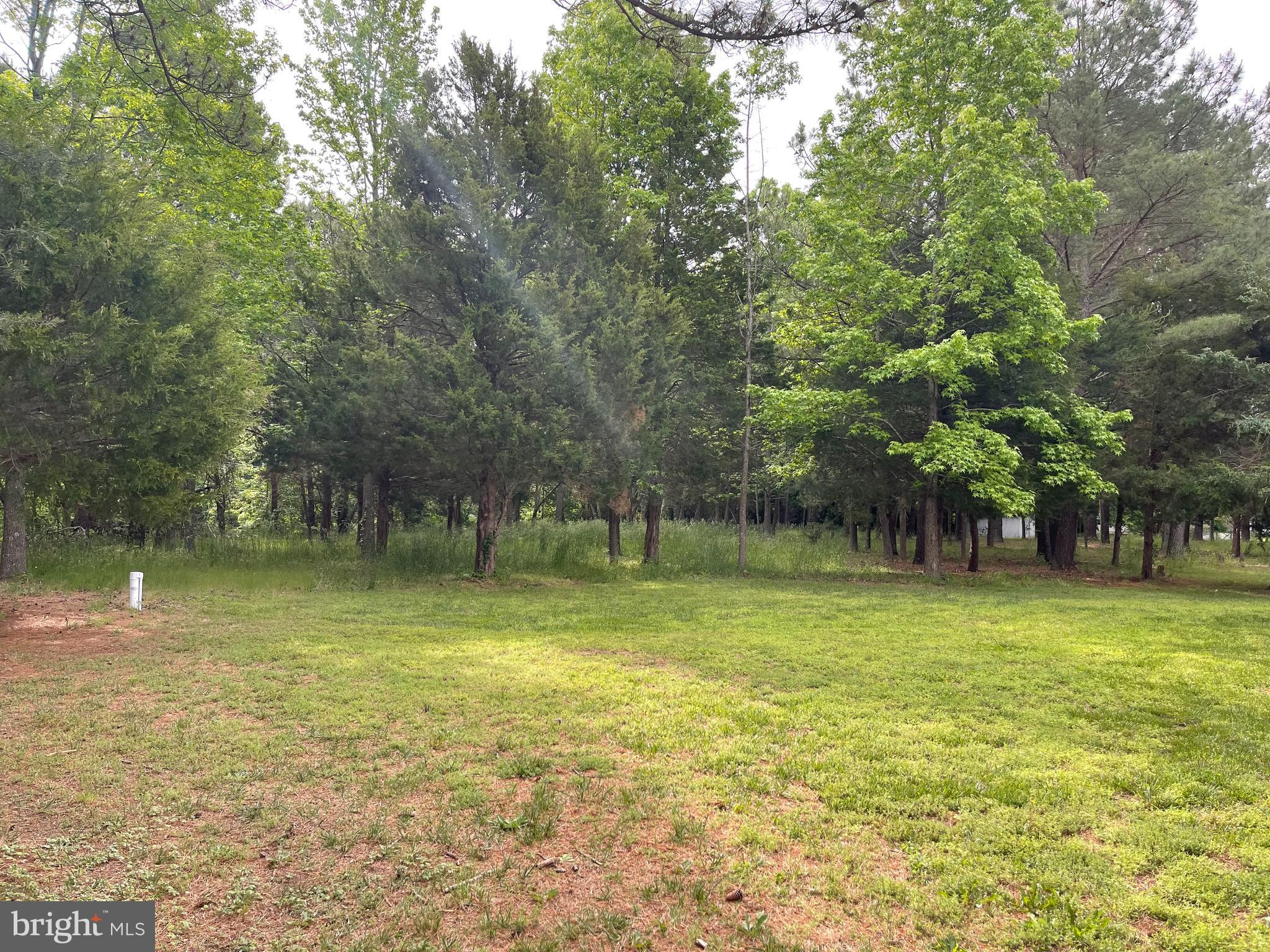 18162 White Tail Way St. Inigoes, MD 20684 - Photo 25 of 29 a view of a trees in a park
