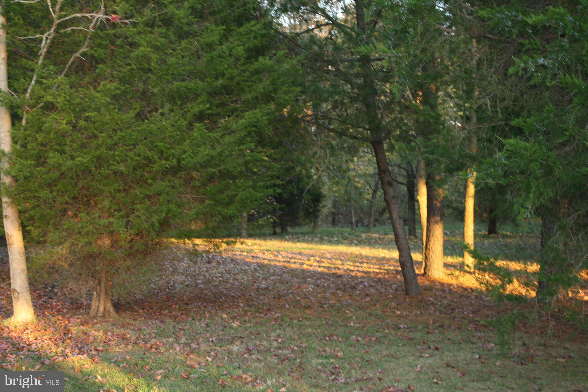 18162 White Tail Way St. Inigoes, MD 20684 - Photo 26 of 29 View