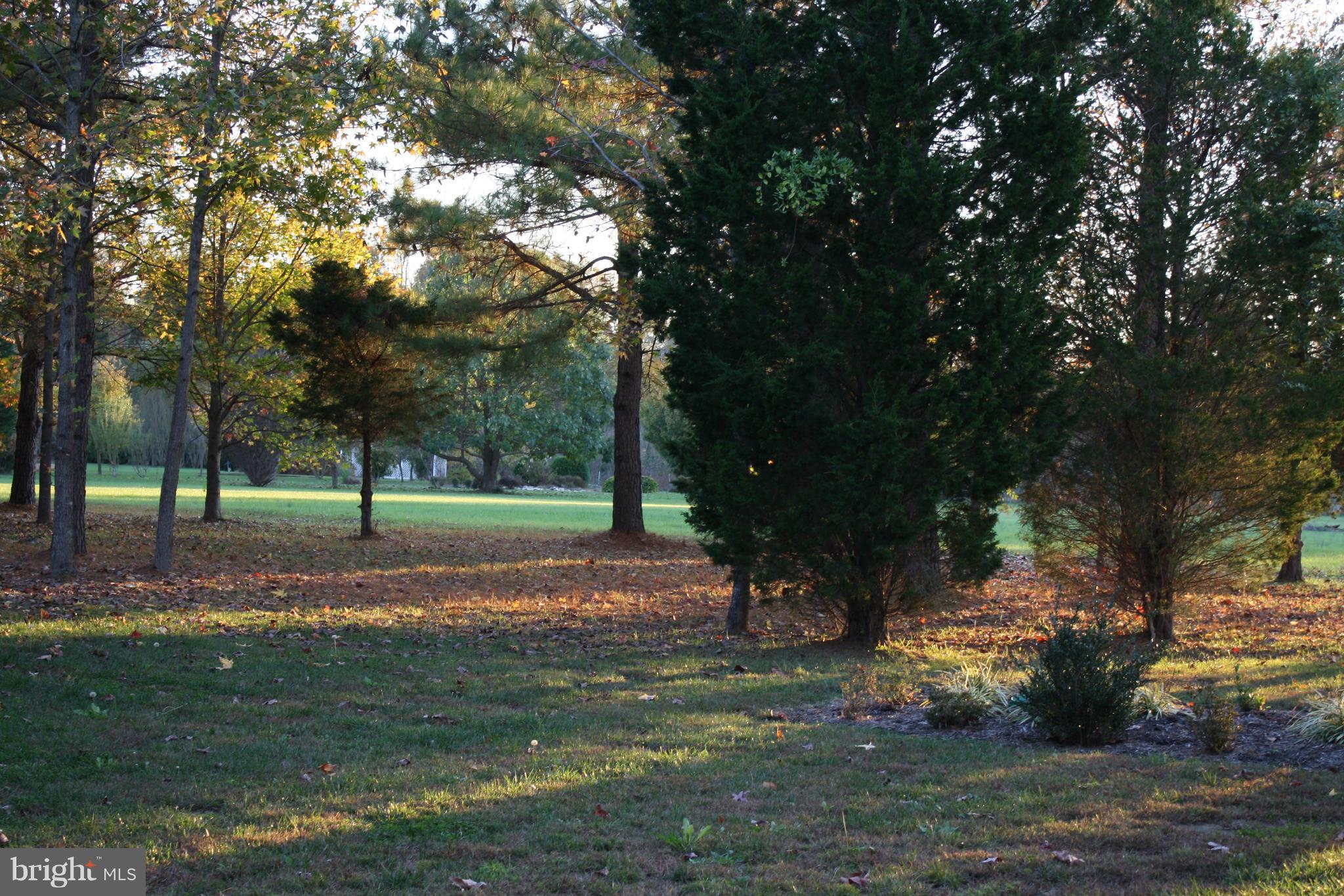 18162 White Tail Way St. Inigoes, MD 20684 - Photo 28 of 29 a view of backyard with green space