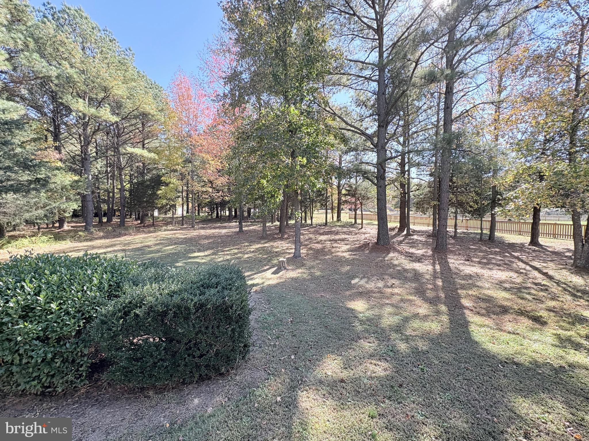 18162 White Tail Way St. Inigoes, MD 20684 - Photo 29 of 29 a view of outdoor space with trees