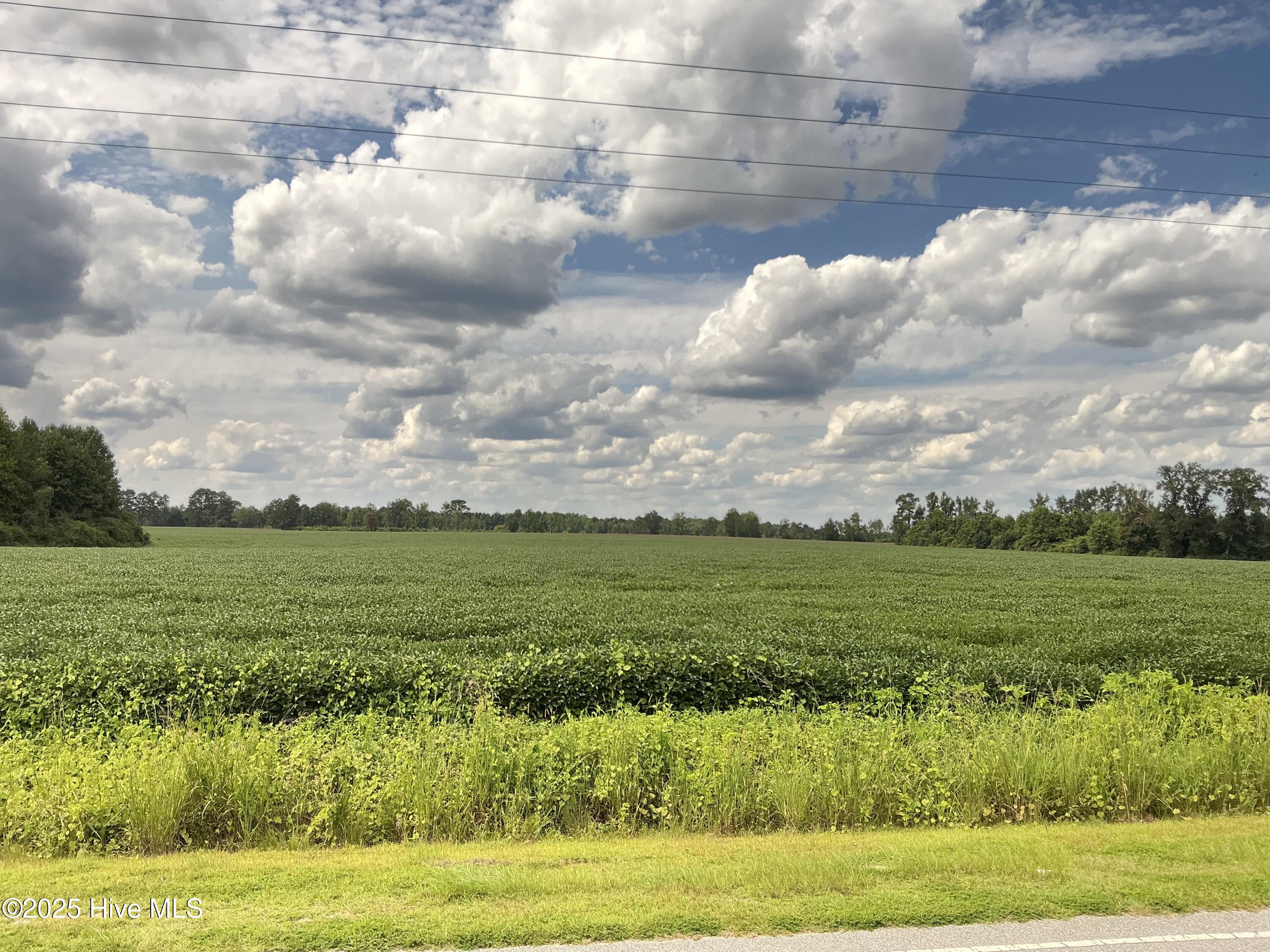 2100 Golf Course Road Whiteville, NC 28472 - Photo 7 of 10 IMG_0405