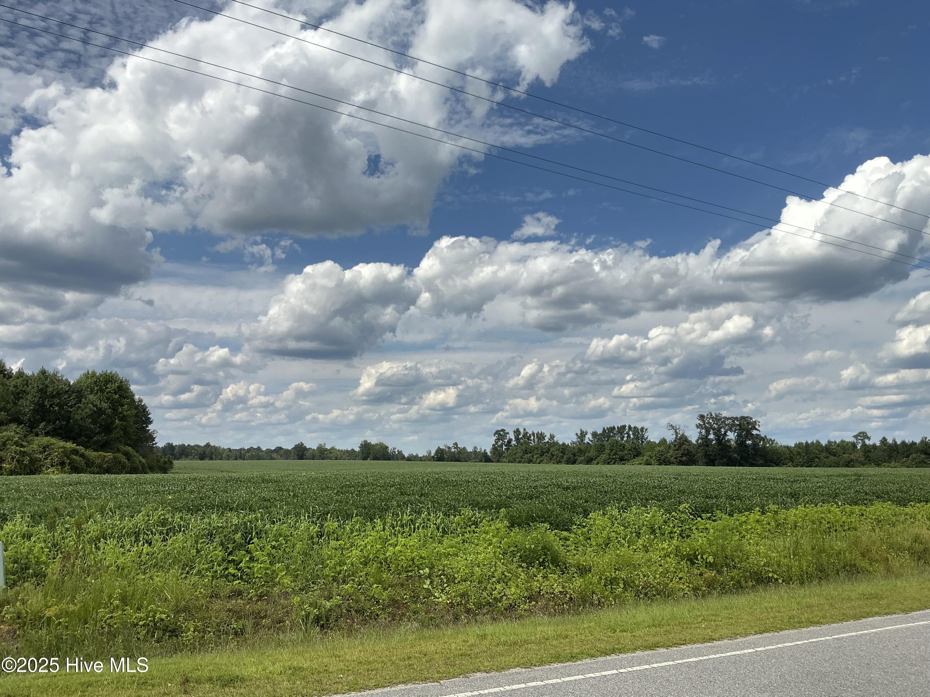 2100 Golf Course Road Whiteville, NC 28472 - Photo 8 of 10 IMG_0404