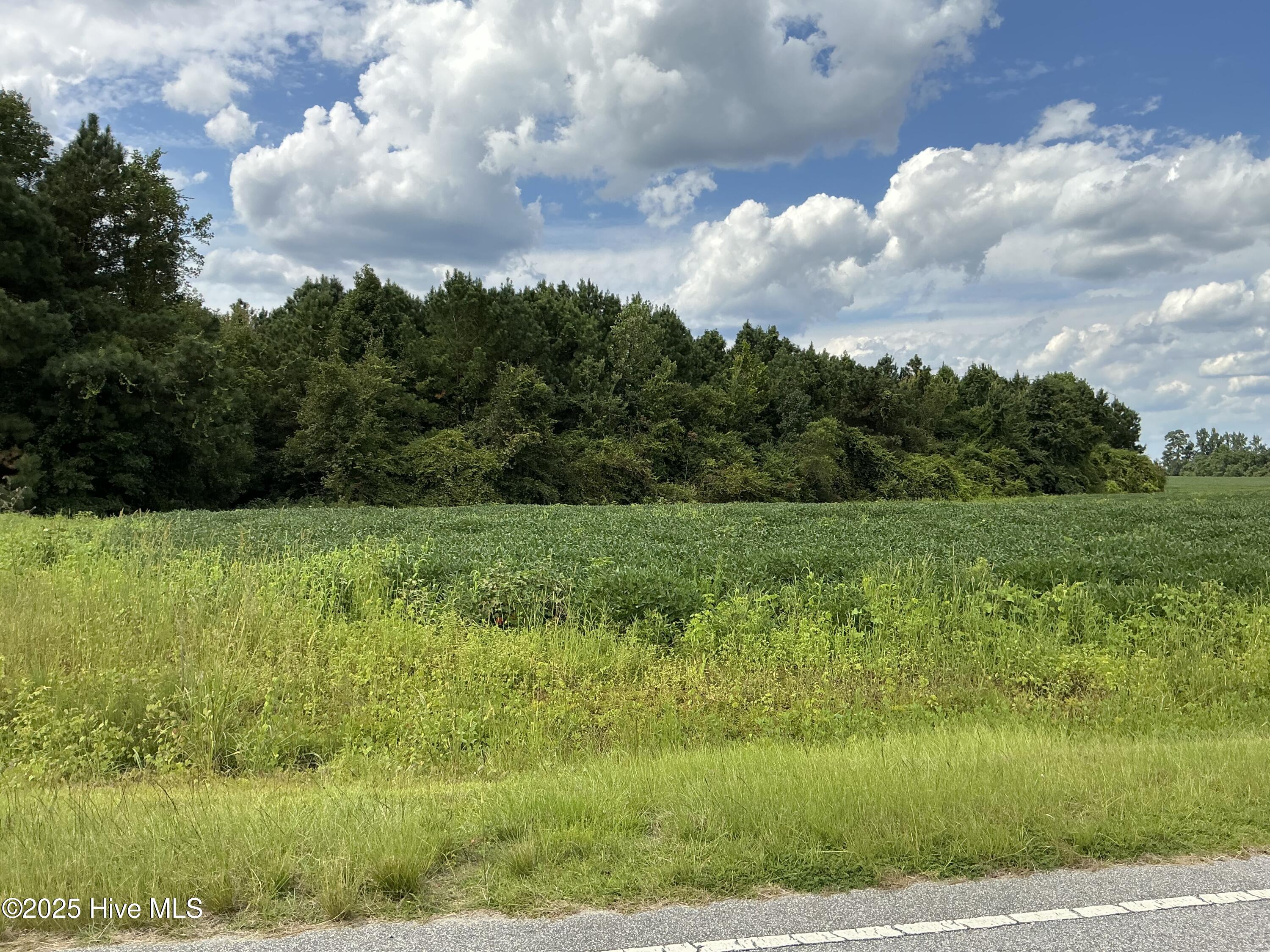 2100 Golf Course Road Whiteville, NC 28472 - Photo 10 of 10 IMG_0402